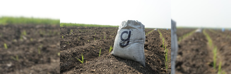 A Ground Up bag sitting in a field