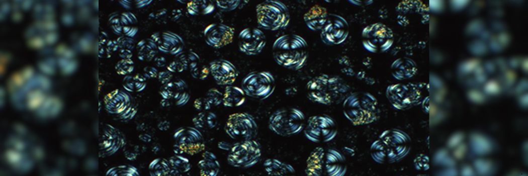 A series of swirling spirals against a black backdrop.