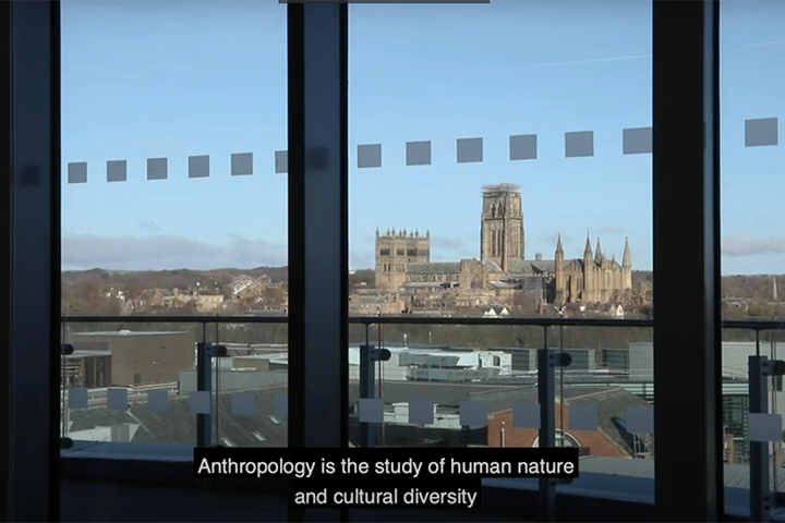 What is anthropology video screengrab