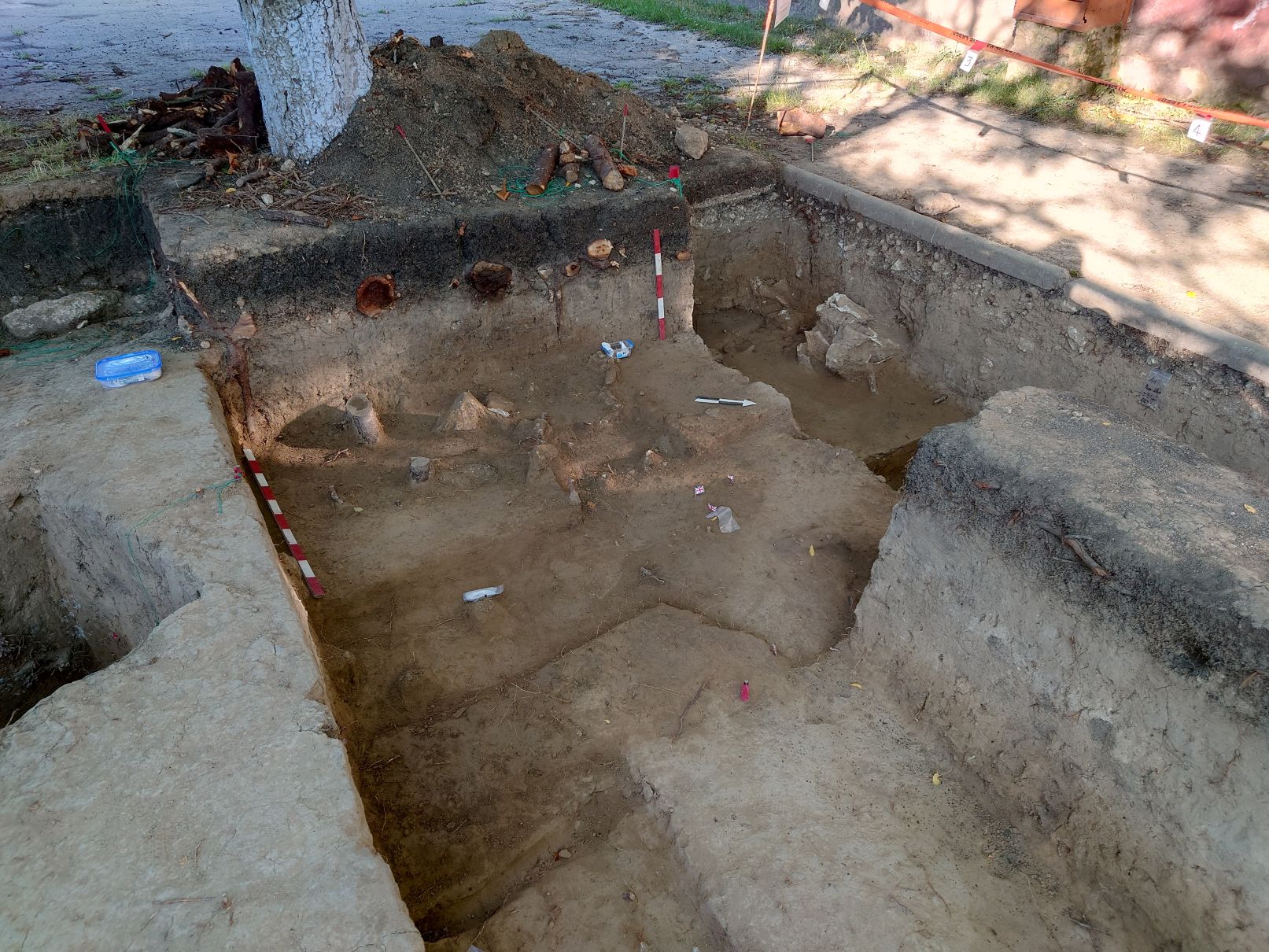 Angled photo of archaeological trench showing emerging large animal bones