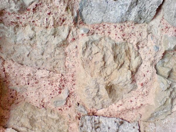 Photo of mortar on archaeological site