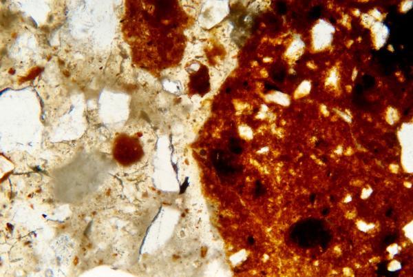 Image from microscope of a thin section of mortar