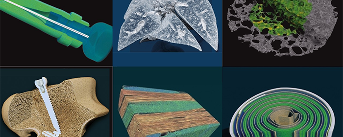 Images from Bruker SkyScan 1273