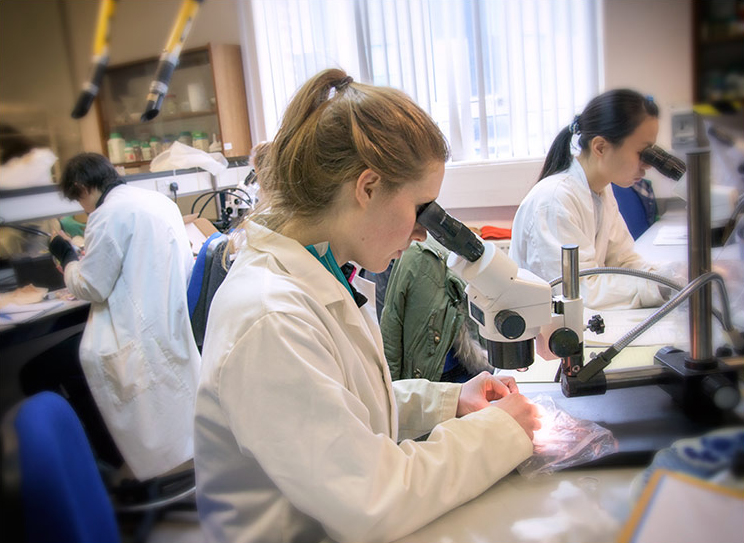 A student conservator studying artefacts under a microscope in the Conservation lab