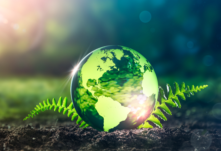 Glass globe surrounded by ferns