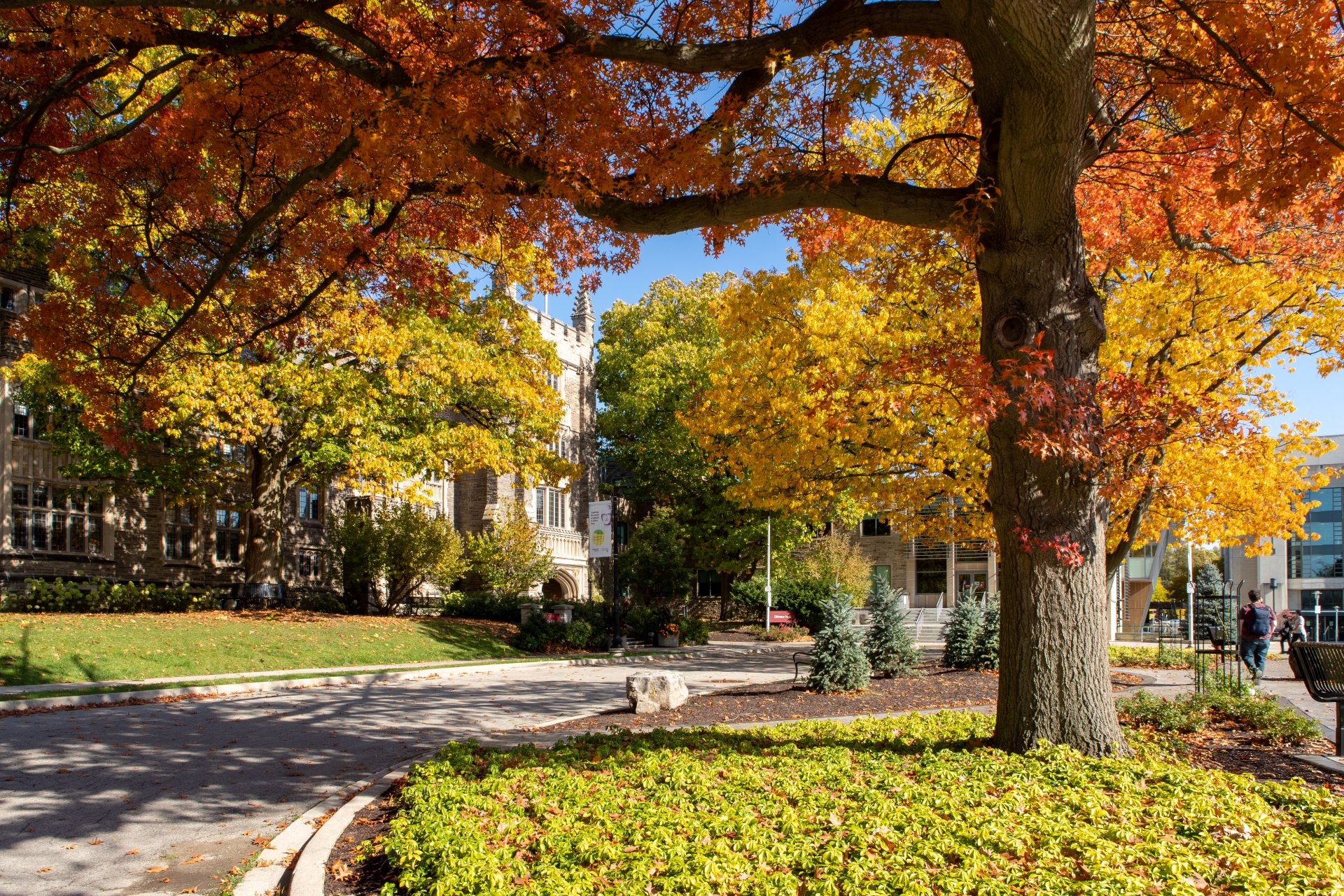 External view of McMaster University building surrounded by trees in Autumn