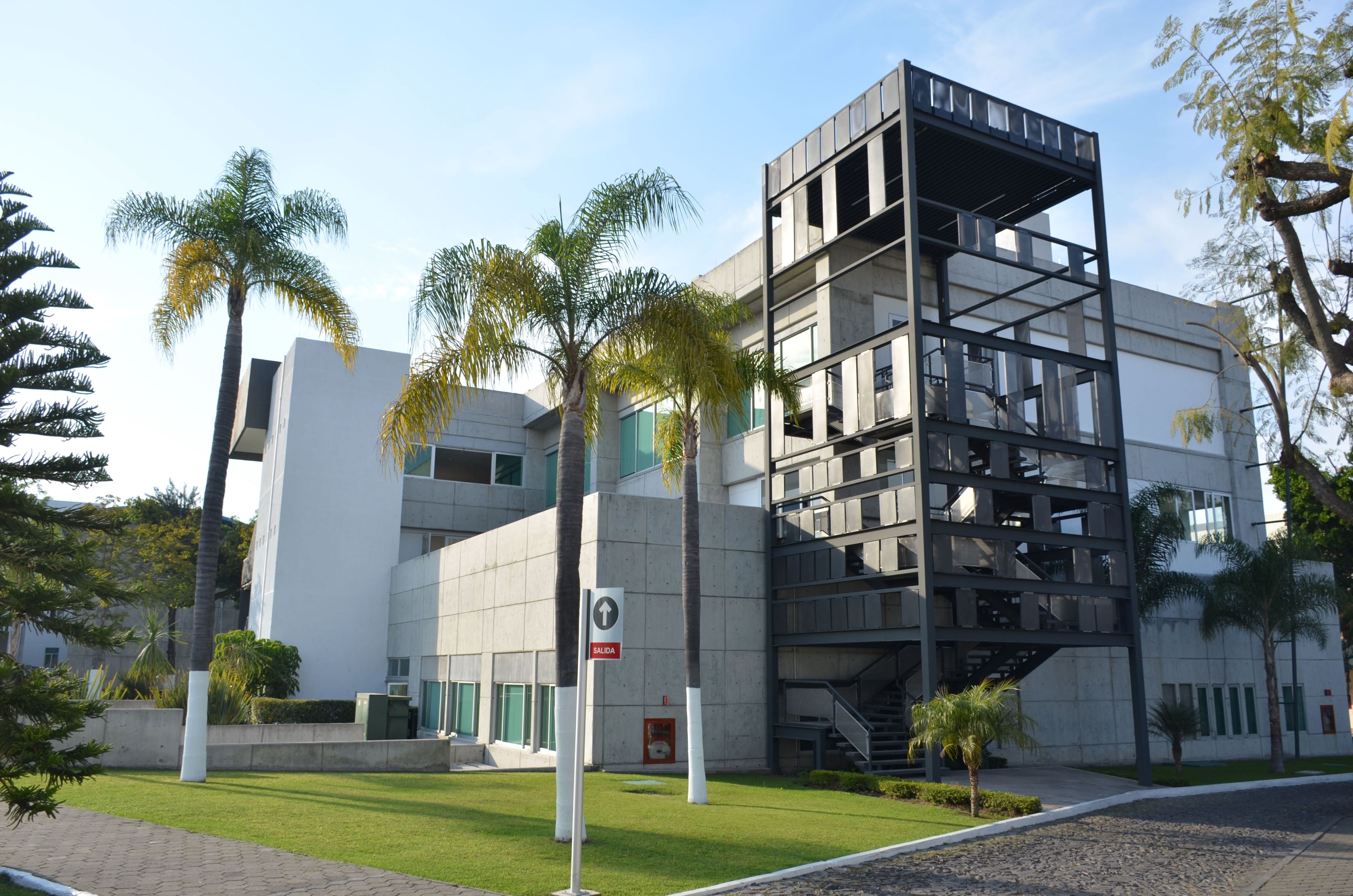 Buildings and palm trees on the Guadalajara Campus
