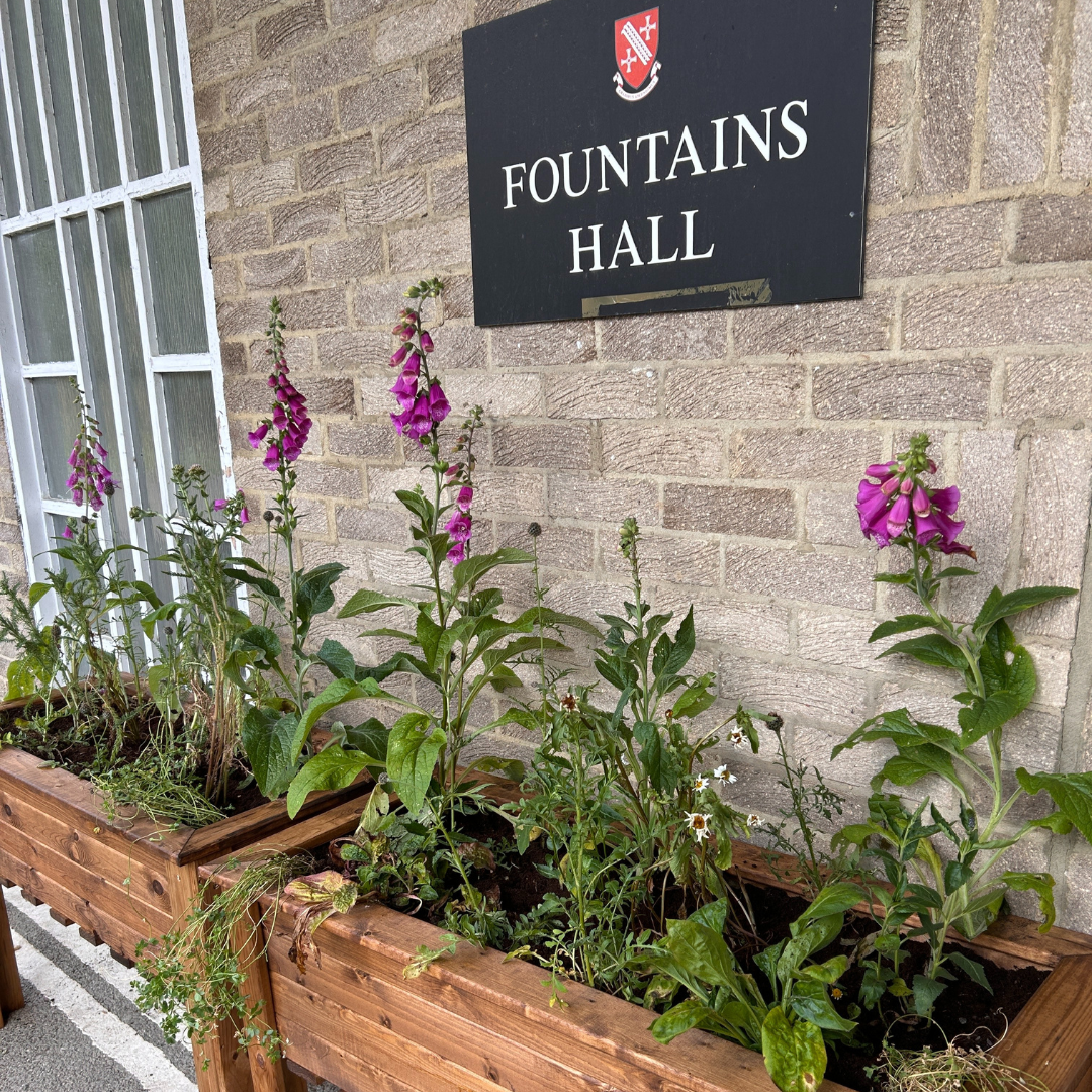 Christmas energy saving tips Dec 2024