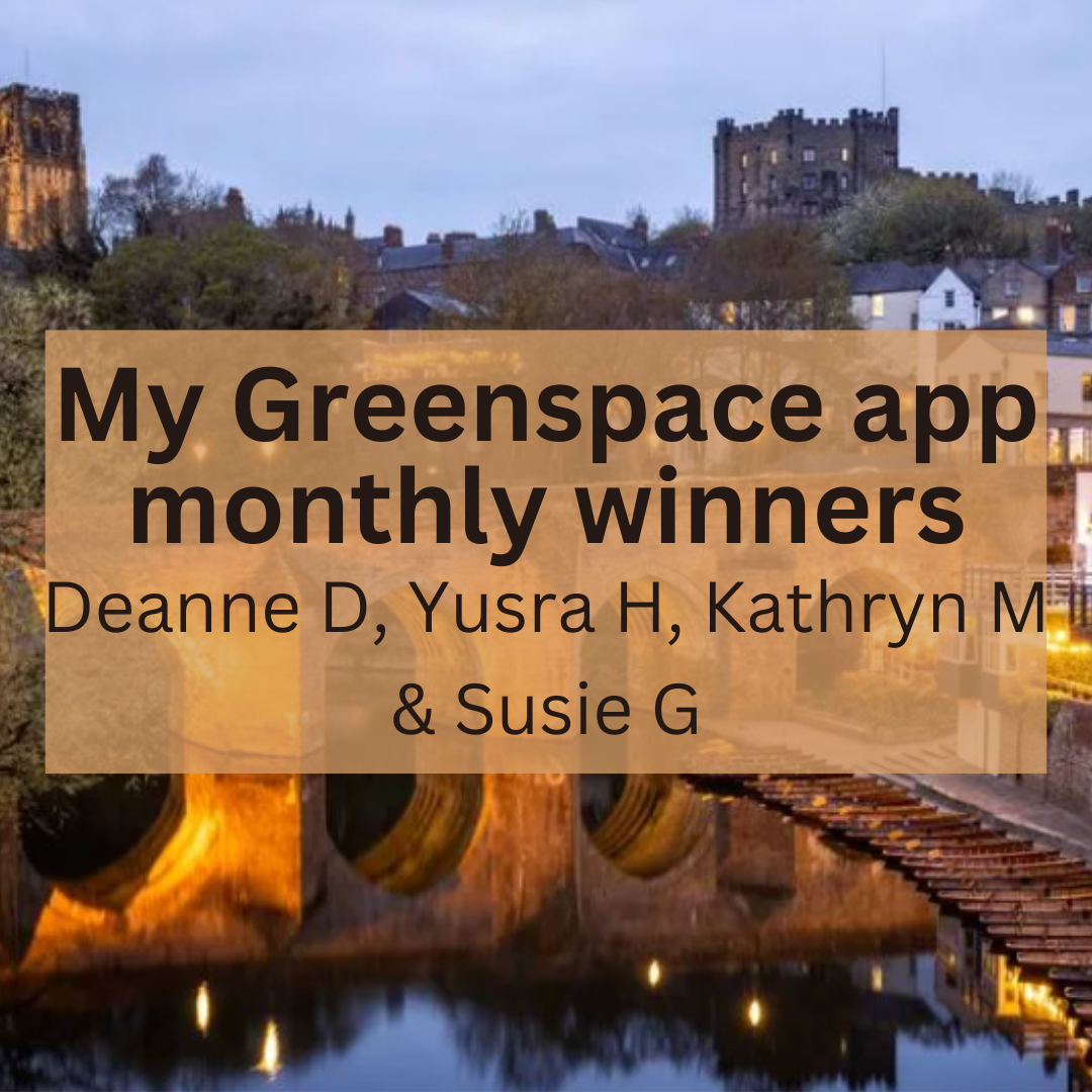 My Greenspace app monthly winners Nov 2025