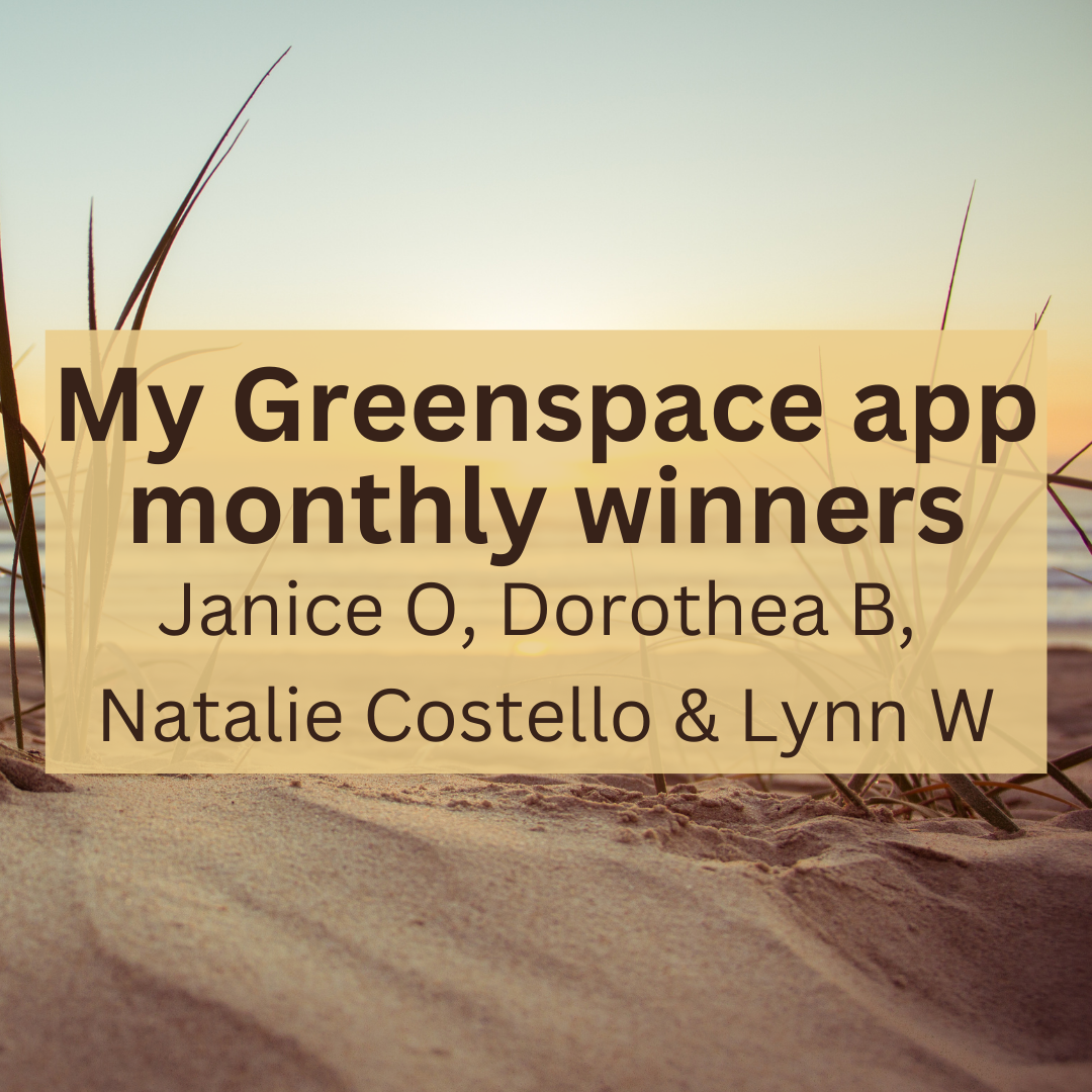 Monthly winners August 2025