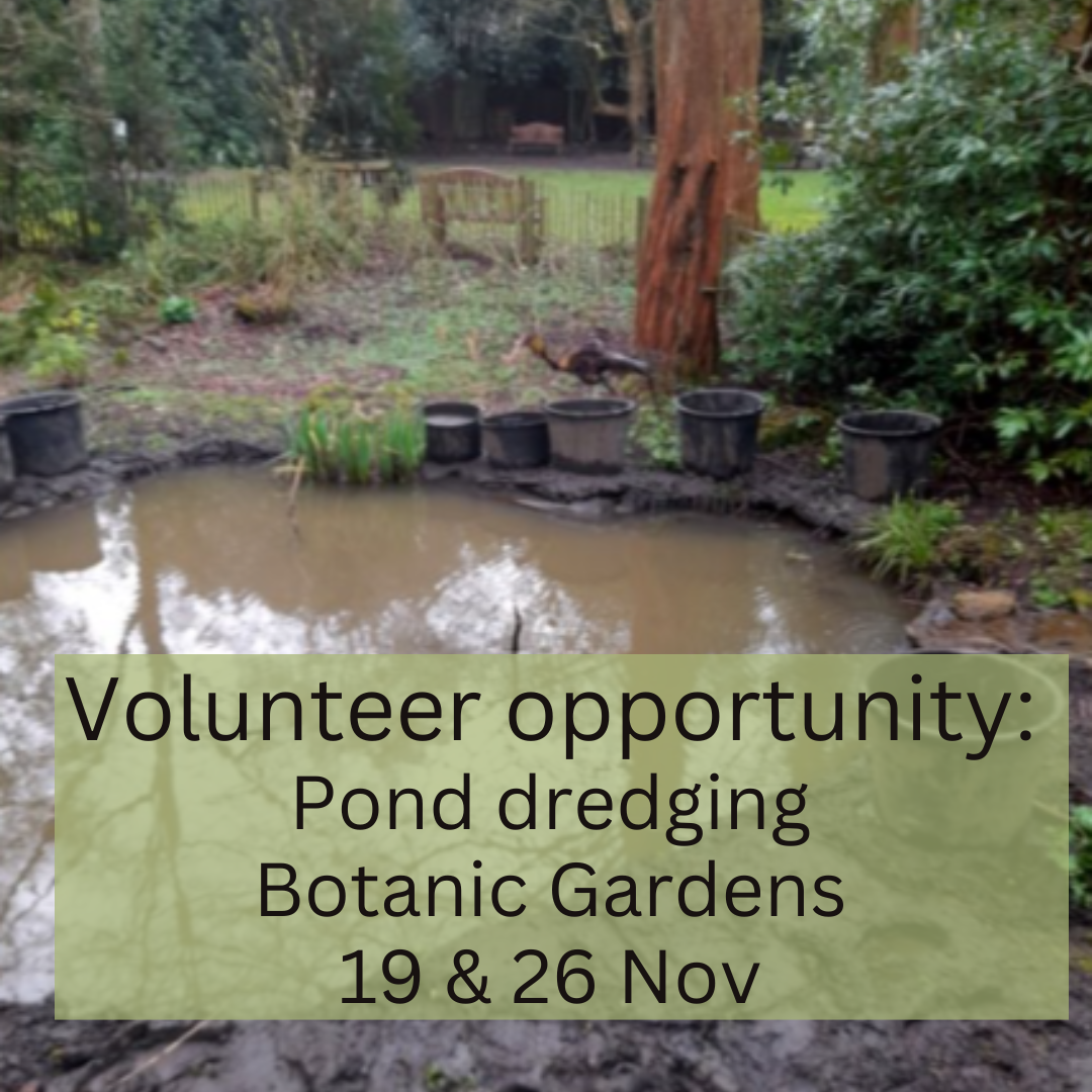 Volunteer opportunity: pond dredging, Botanic Gardens