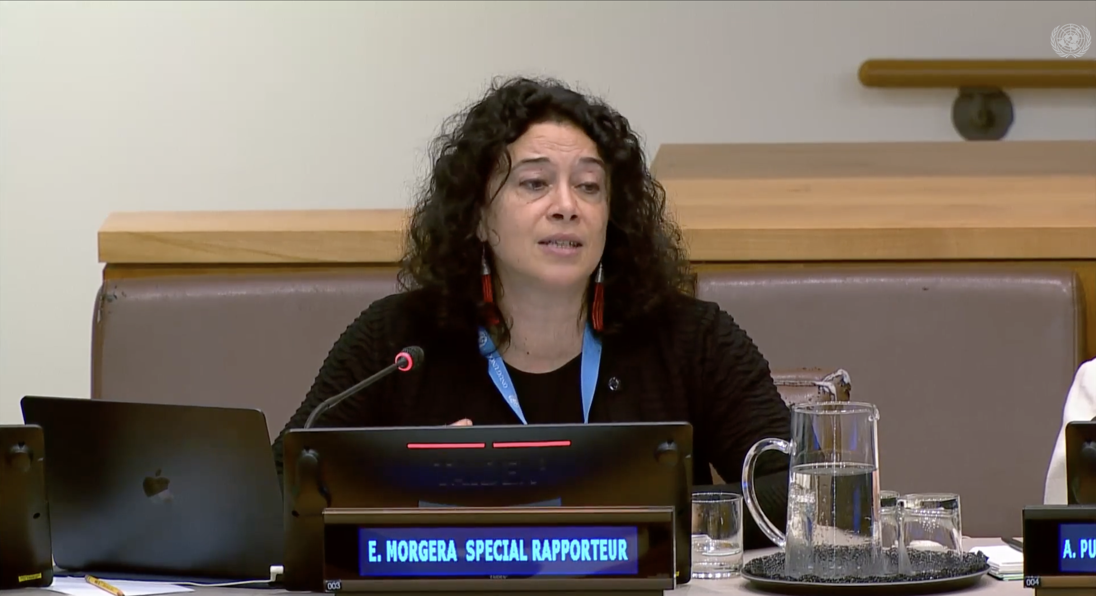 Elisa Morgera at UNGA 80th Session