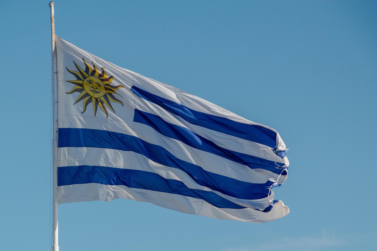 The flag of Uruguay in the breeze