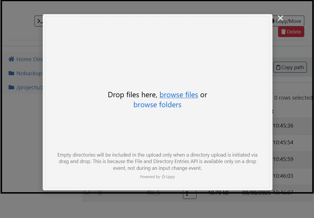 Screenshot of the pane for uploading items to Hamilton8. Items can be dragged into the pane, while two links in the middle of the pane allow browing for files or folders.