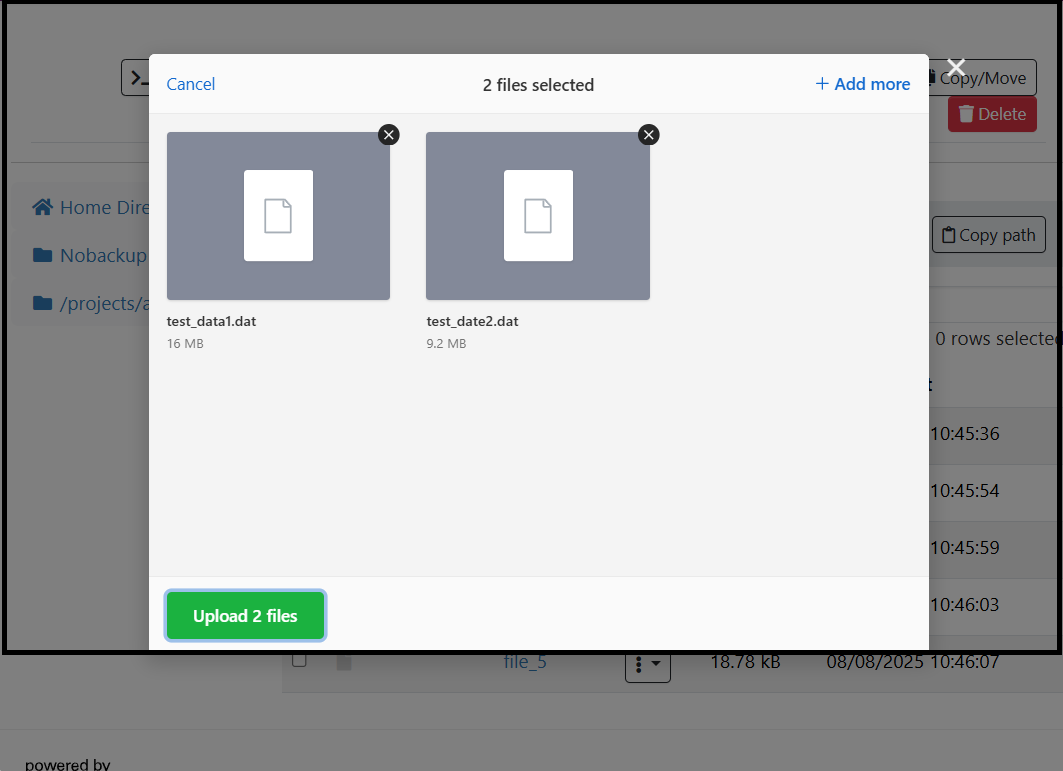 Screenshot of pane with two files that have been selected and are ready to upload.