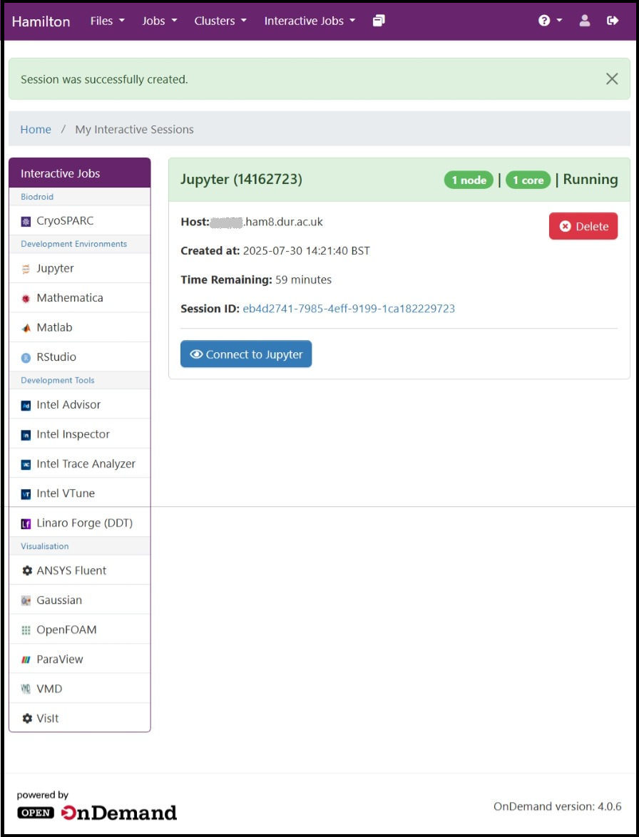 Page shown when an interactive job has started in the Hamilton8 portal