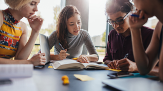 A mixed group of students studying with books