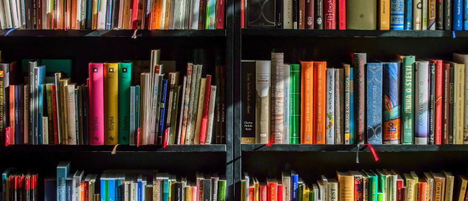 A shelf with multi coloured books